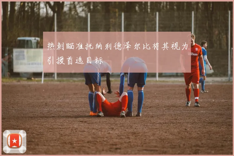 热刺瞄准托纳利德泽尔比将其视为引援首选目标