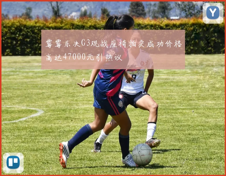 霉霉东决G3观战座椅拍卖成功价格高达47000元引热议