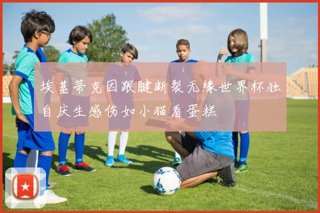 埃基蒂克因跟腱断裂无缘世界杯独自庆生感伤如小猫看蛋糕